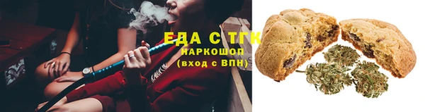 эйфоретик Аркадак